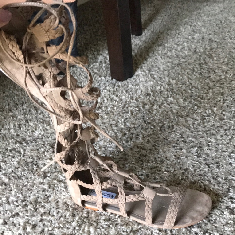 Steve Madden Sammson Gladiator Sandals
